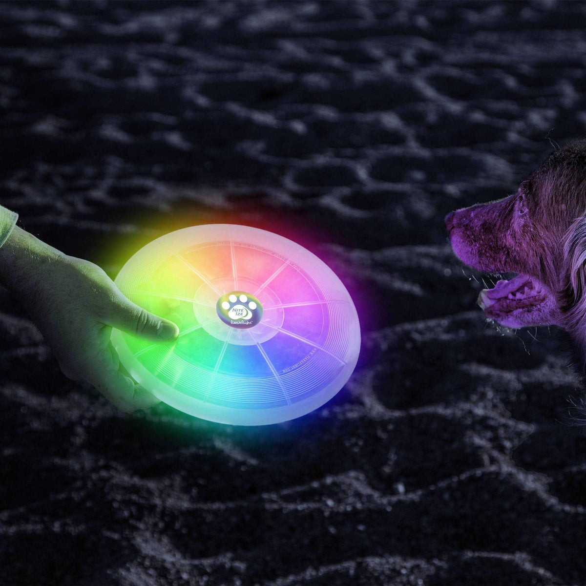 LED Flying Disc Q547175