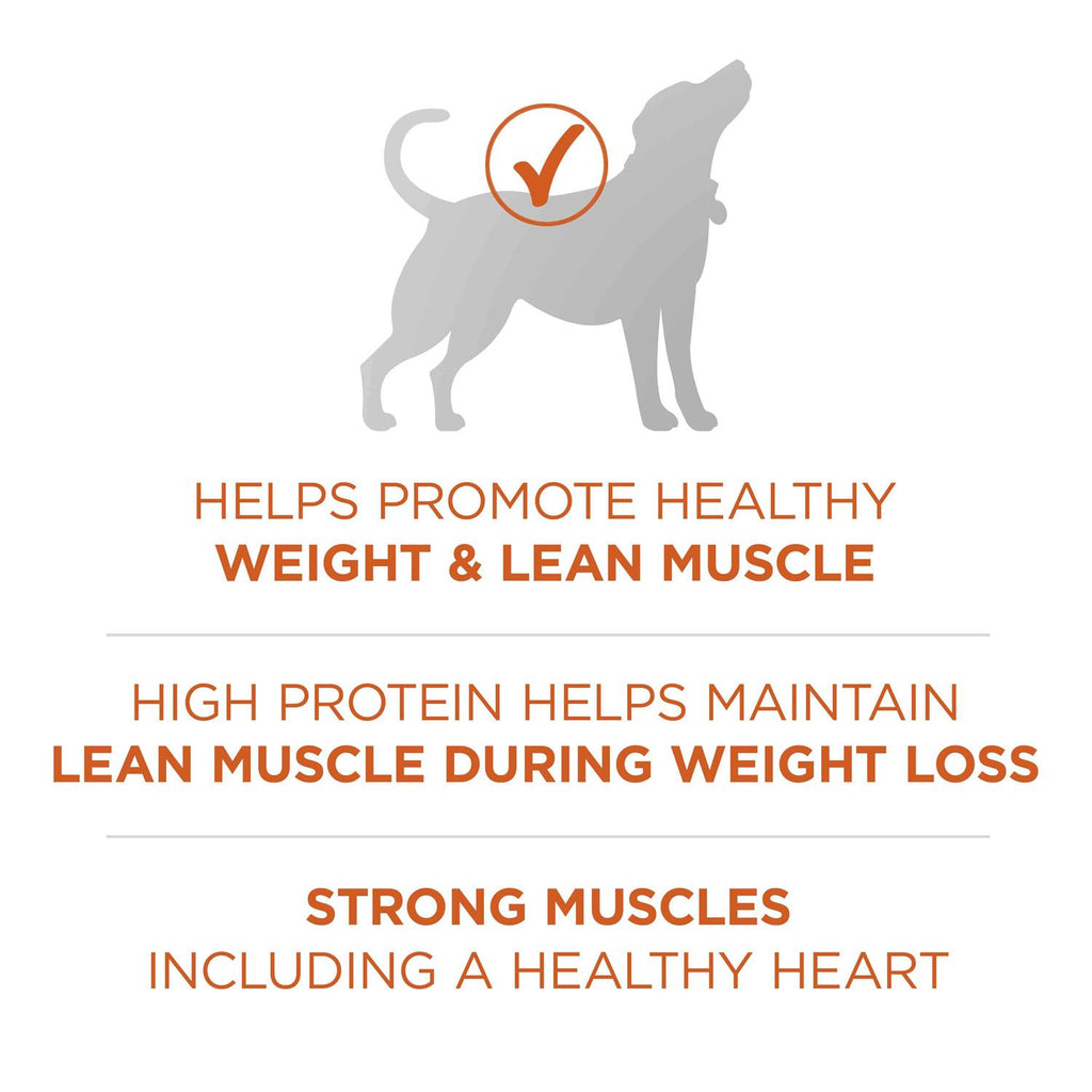 High Protein Dry Dog Food P477624