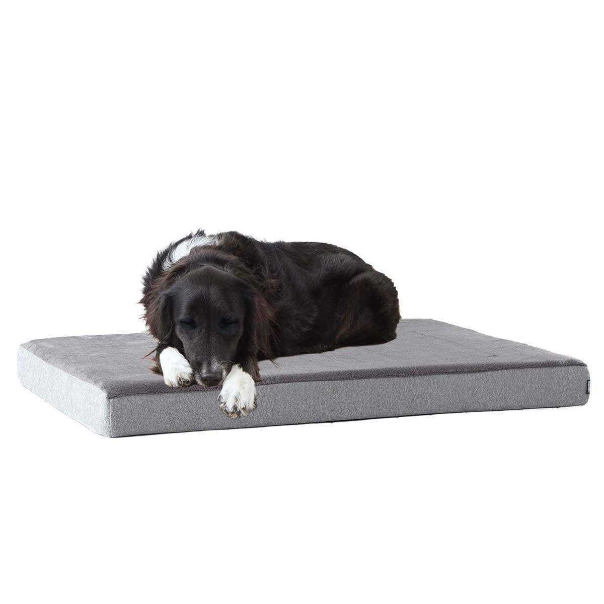 Memory Foam Platform Dog Bed Plush Mattress M575