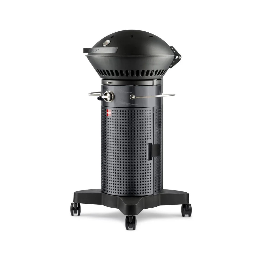 2-Burner Propane Gas Grill H18807