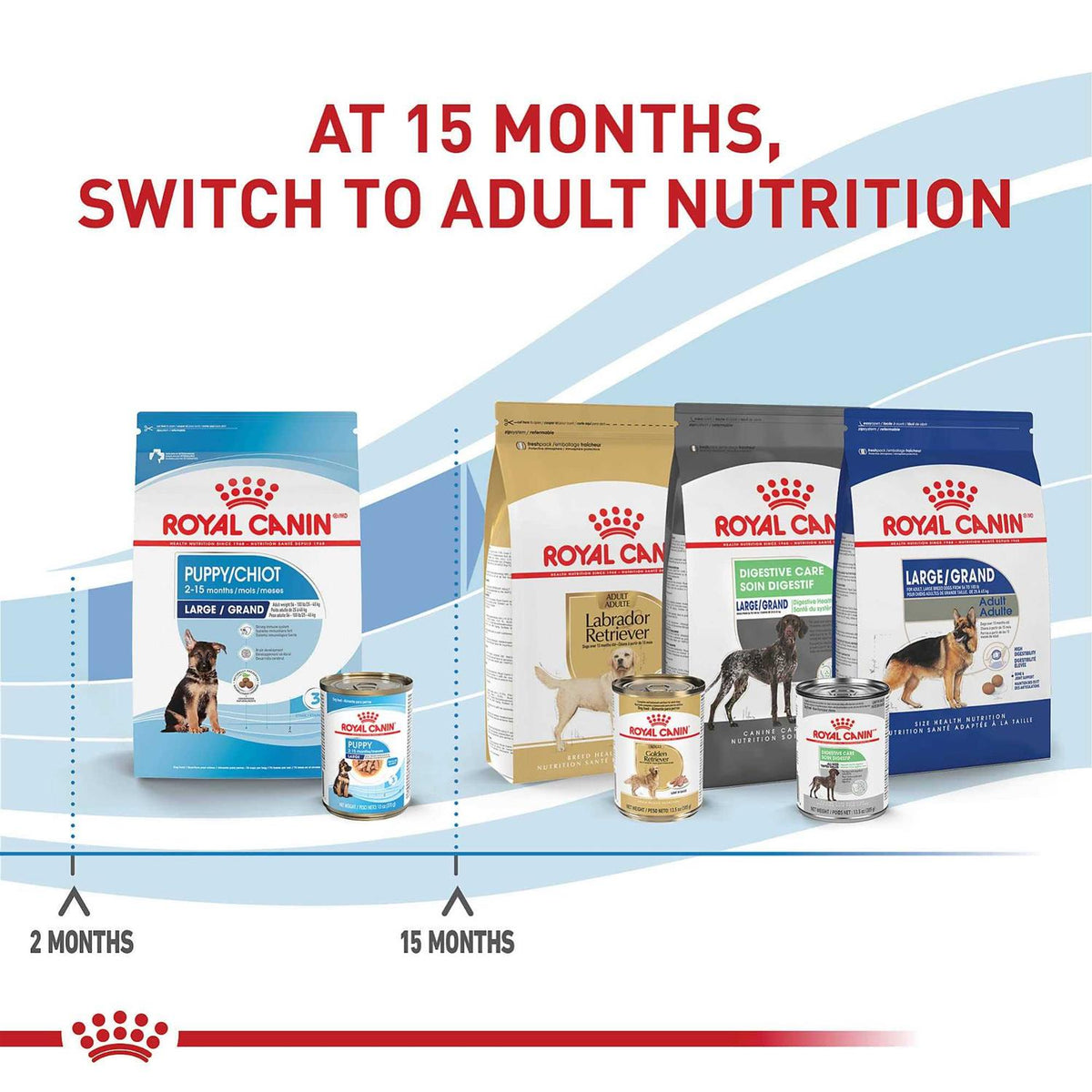 Wet Dog Food A5798
