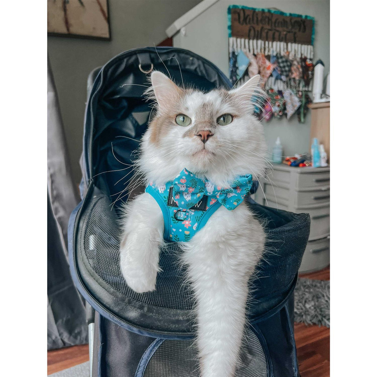 Cat Step-In Harness S5269