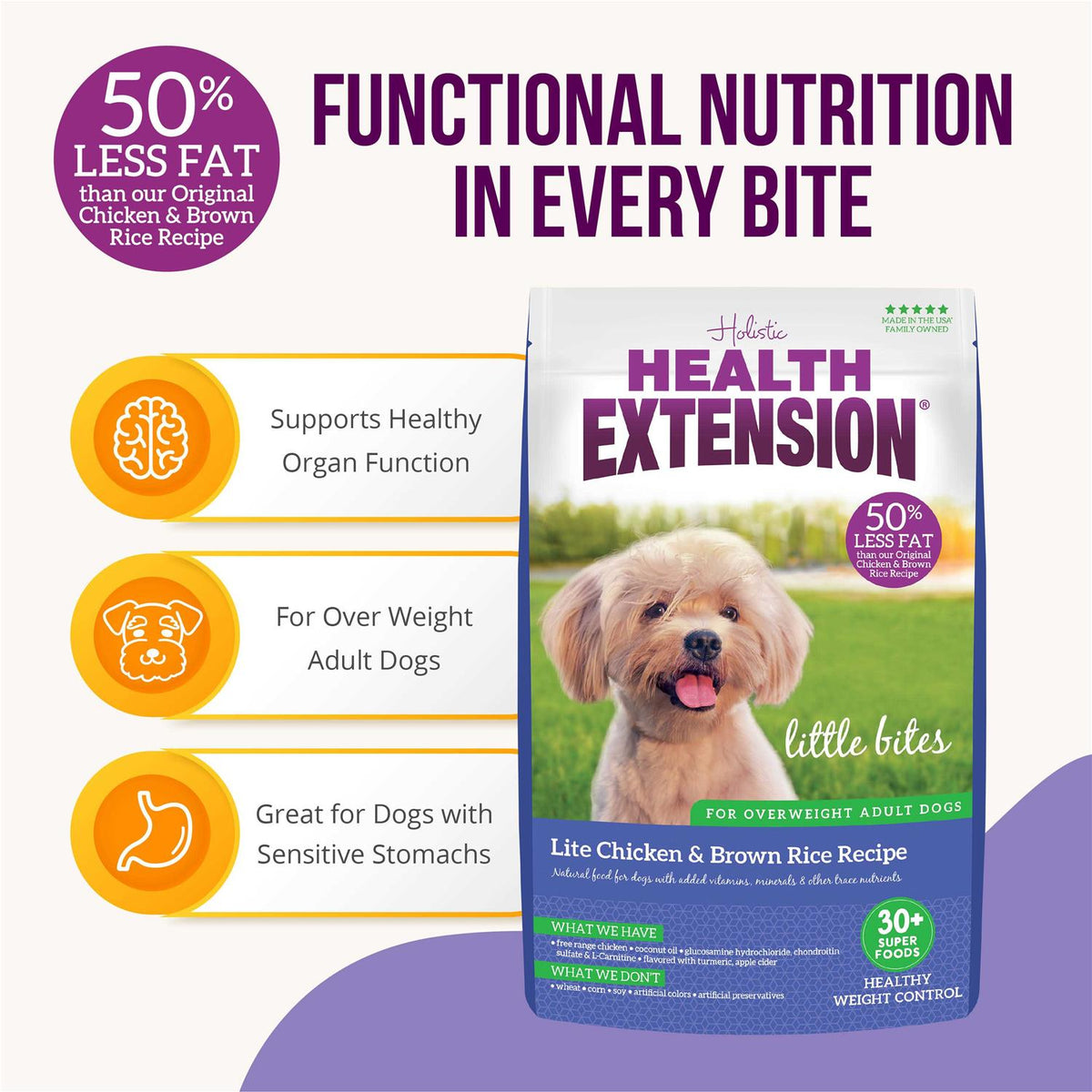 Dry Dog Food Y621250