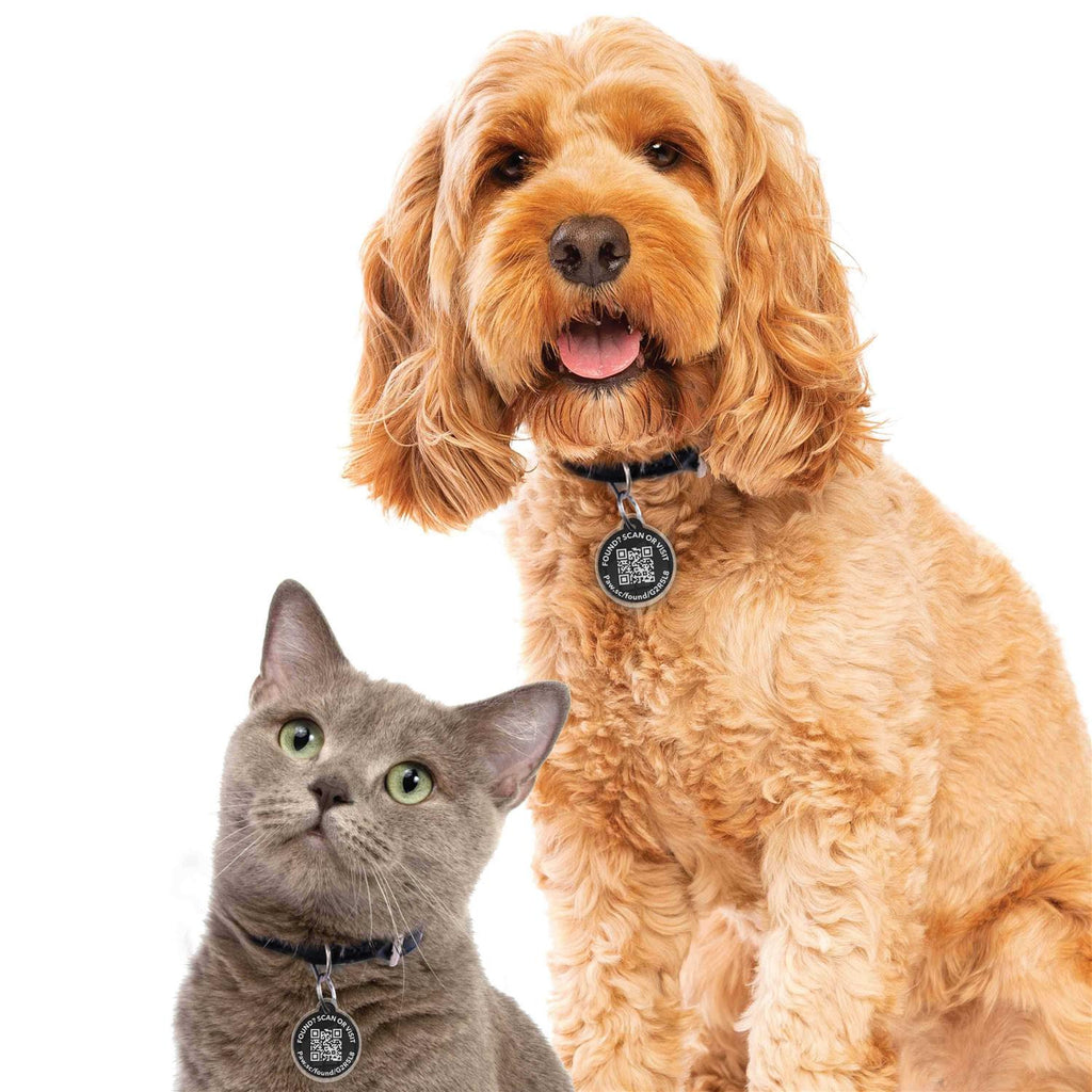 Smart Pet Tag X956883