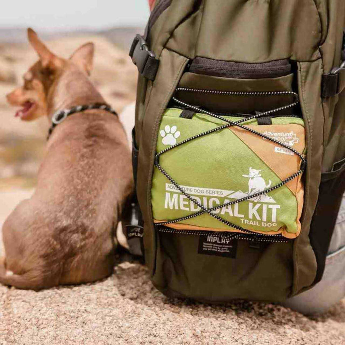 Dog Kit E4628