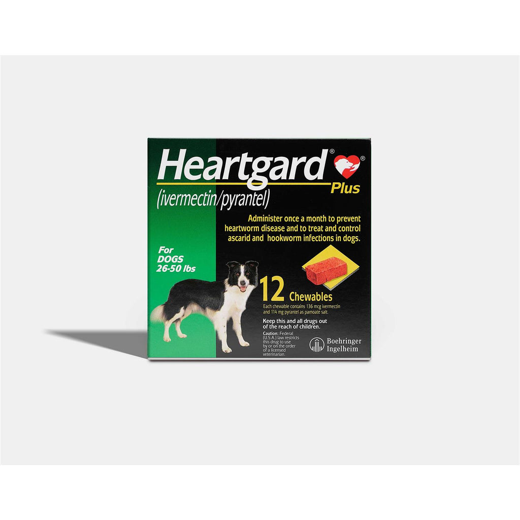 Chewables for Dogs Y24949