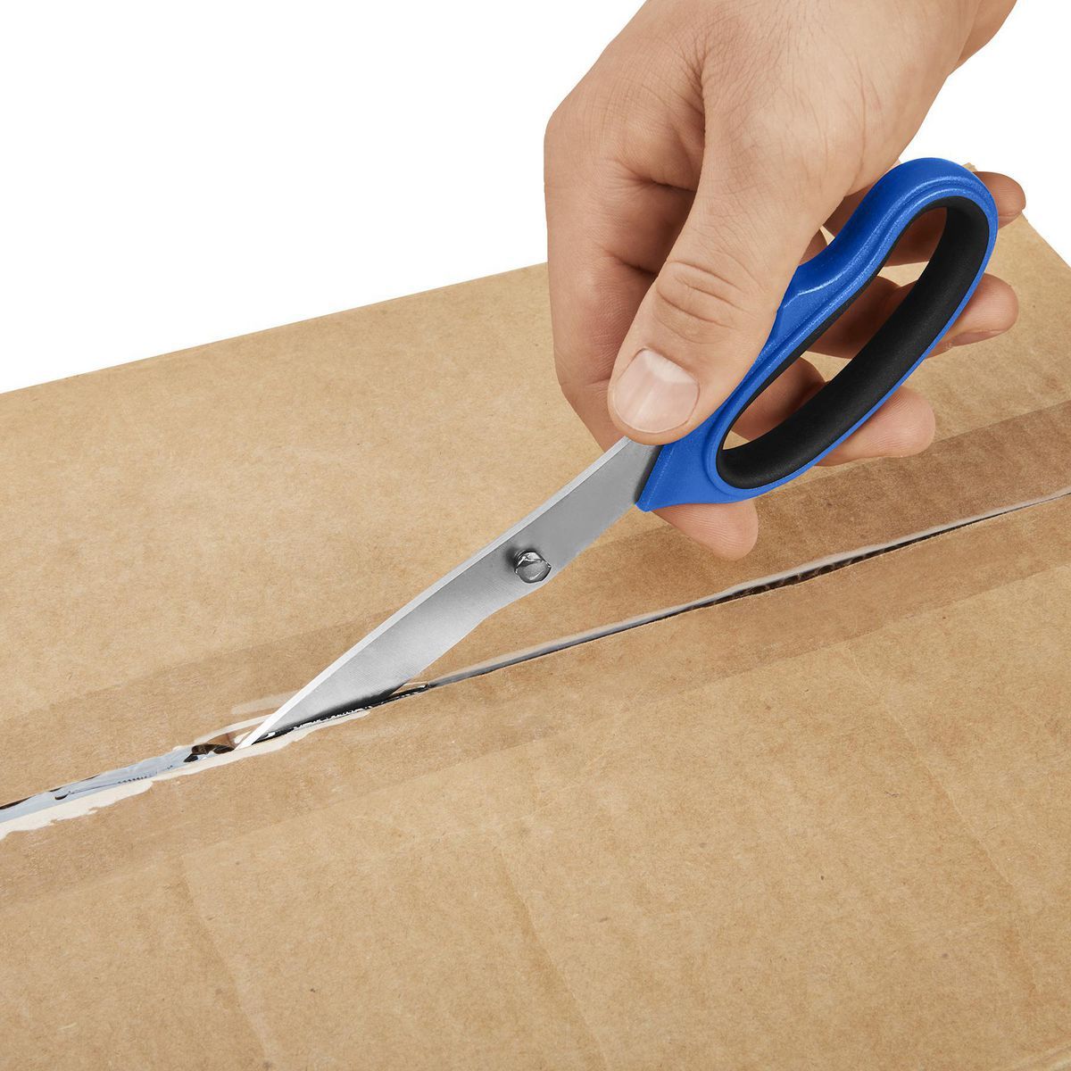 Assorted Scissors, 3-Piece W750207