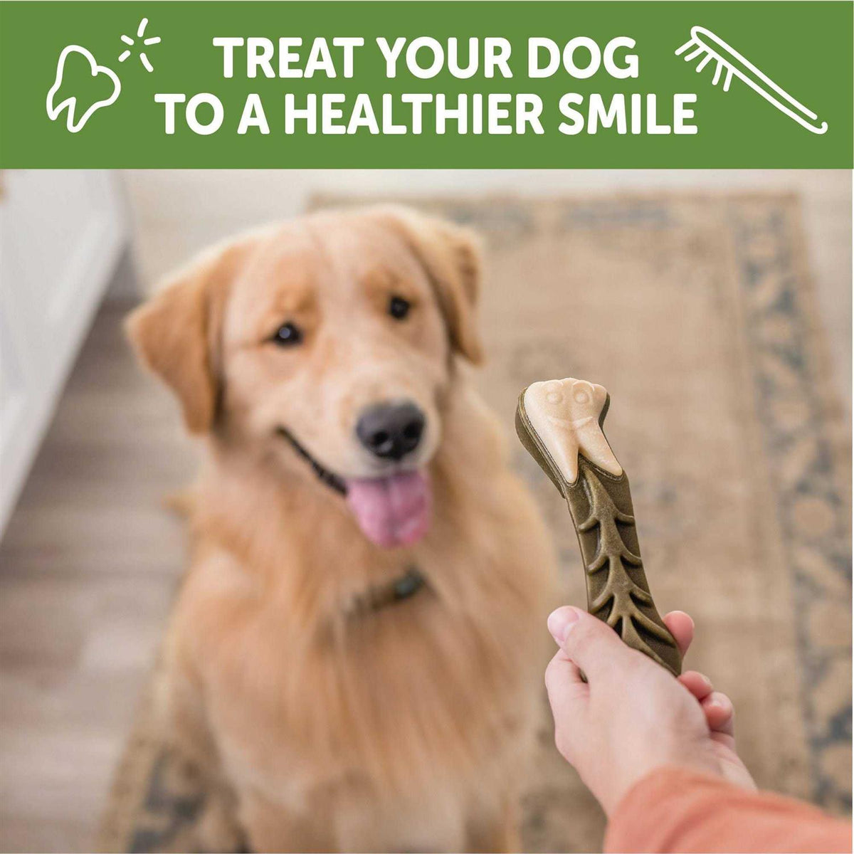 Large Natural Dental Dog Treats M285