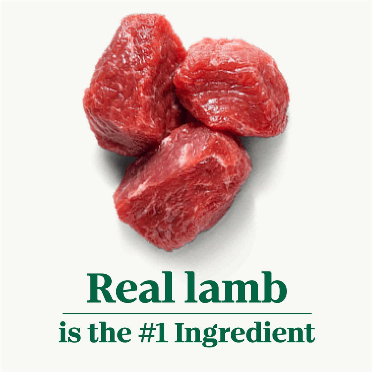 Senior Lamb & Rice Dry Dog Food I9216