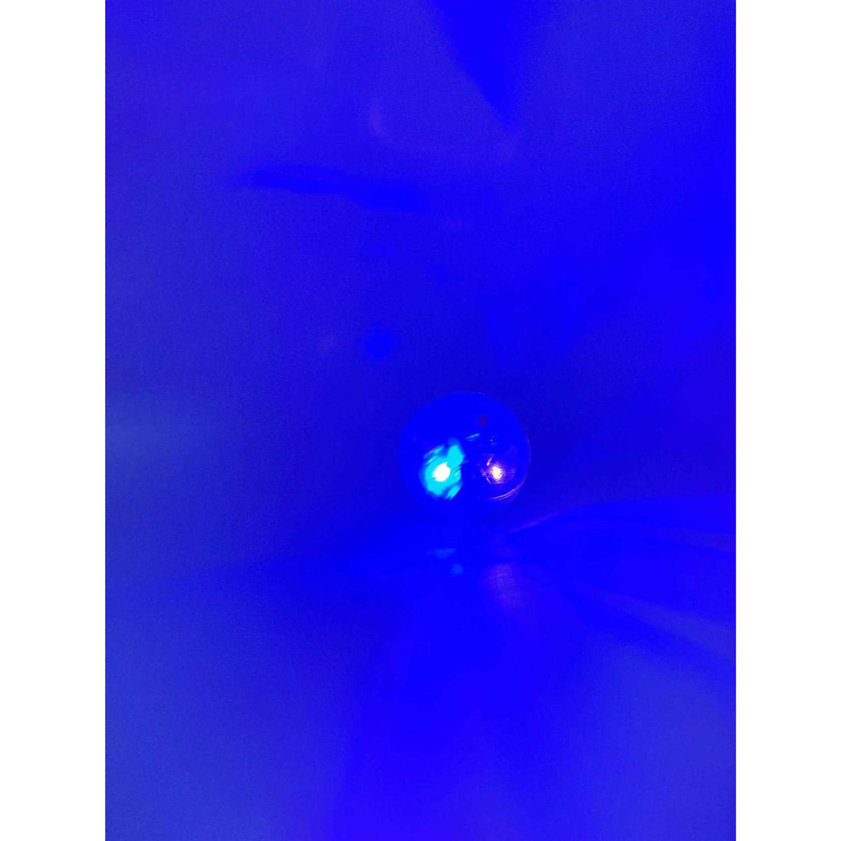 LED Motion Activated Cat Ball C40934