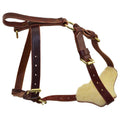 Leather Tracking Harness R1827