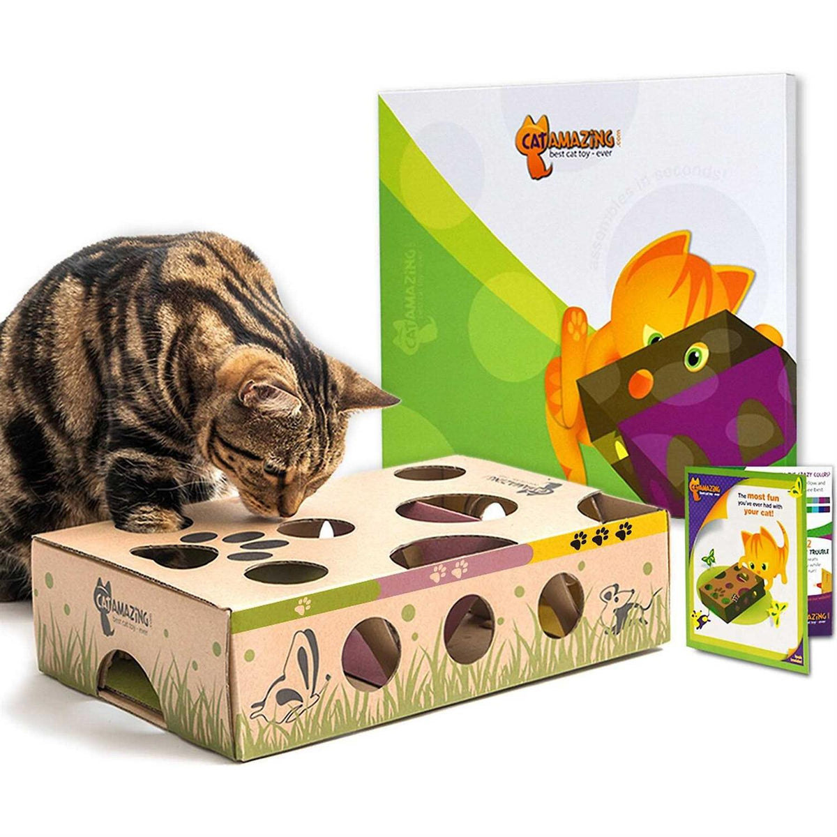 Interactive Cat Treat Maze Puzzle Feeder F93176