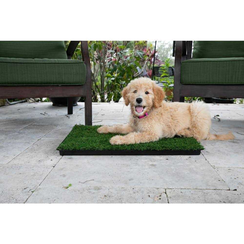 Grass with Tray N676708