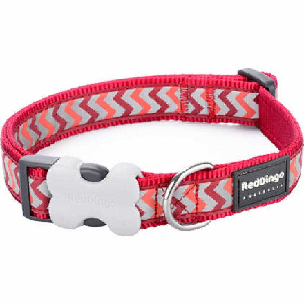 Dog Collar H734809