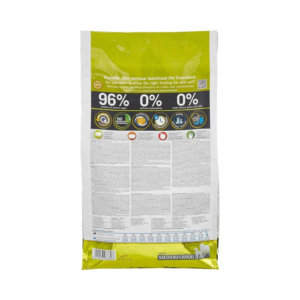 Pumpkin Boar & Apple Adult Dog Dry Food G78215