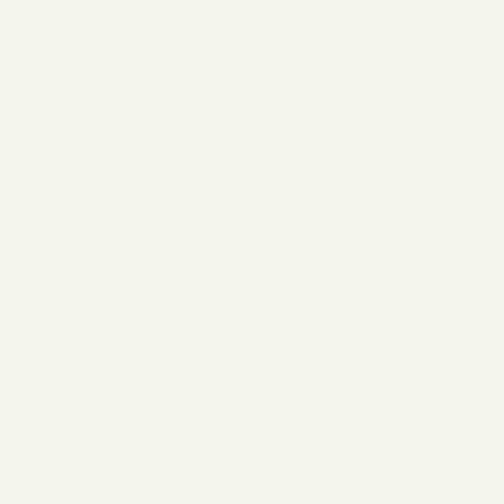 White 2 Gallon Latex Primer G829